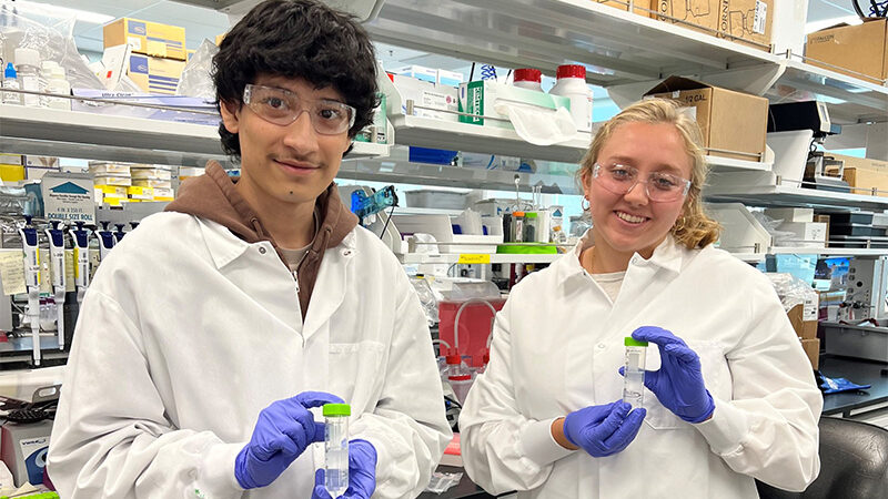 Biotech partners interns in the BioMarin lab.